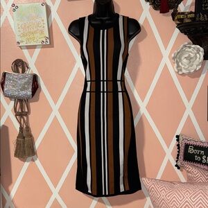 New York & Company Black and Brown Striped Knit Dress